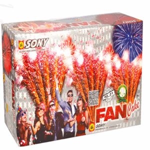 Fan Cake 10 × 10 Coloring Shot
