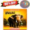 6 Inch Kumki Vedi 16 Ply Sivakasi Sound Crackers | CrackersExpo